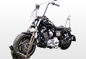 Mounted Chrome Side Mount License Plate For Harley Davidson Sportster - bike